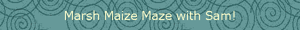Marsh Maize Maze with Sam!