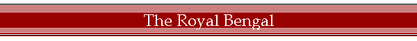 The Royal Bengal